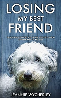 Losing my Best Friend Book