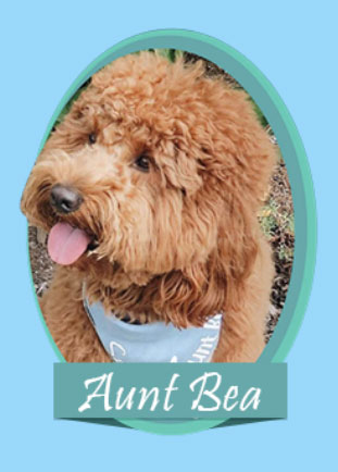 Aunt Bea - Comfort Dog