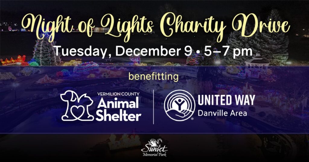 Night of Lights Charity Drive