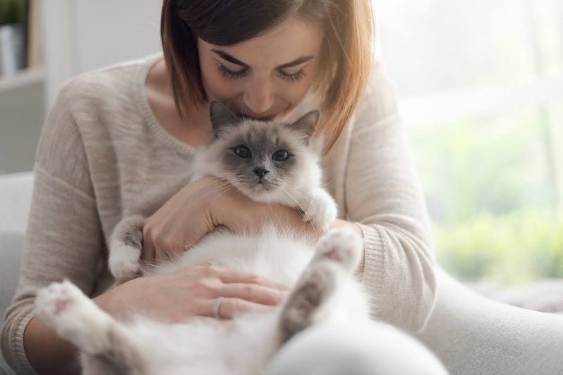 Honor your beloved pet