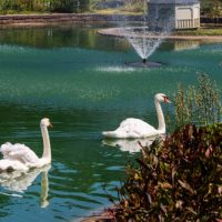 Sunset Memorial Park Danville Illinois 10